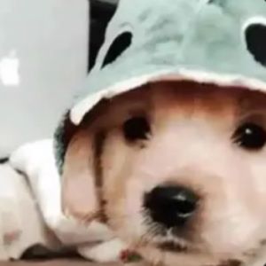 Meet your Posher, Gianna